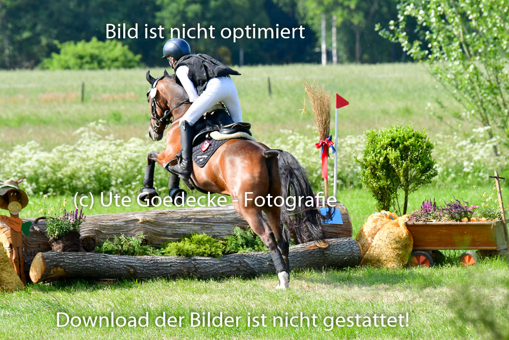 Goldene Schärpe Ponys in Löningen  4+5.6.22 | 04062022 - Gelände  2 Abt _783 