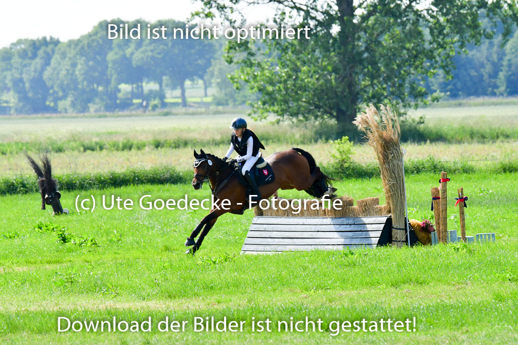 Goldene Schärpe Ponys in Löningen  4+5.6.22 | 04062022 - Gelände  2 Abt _785 
