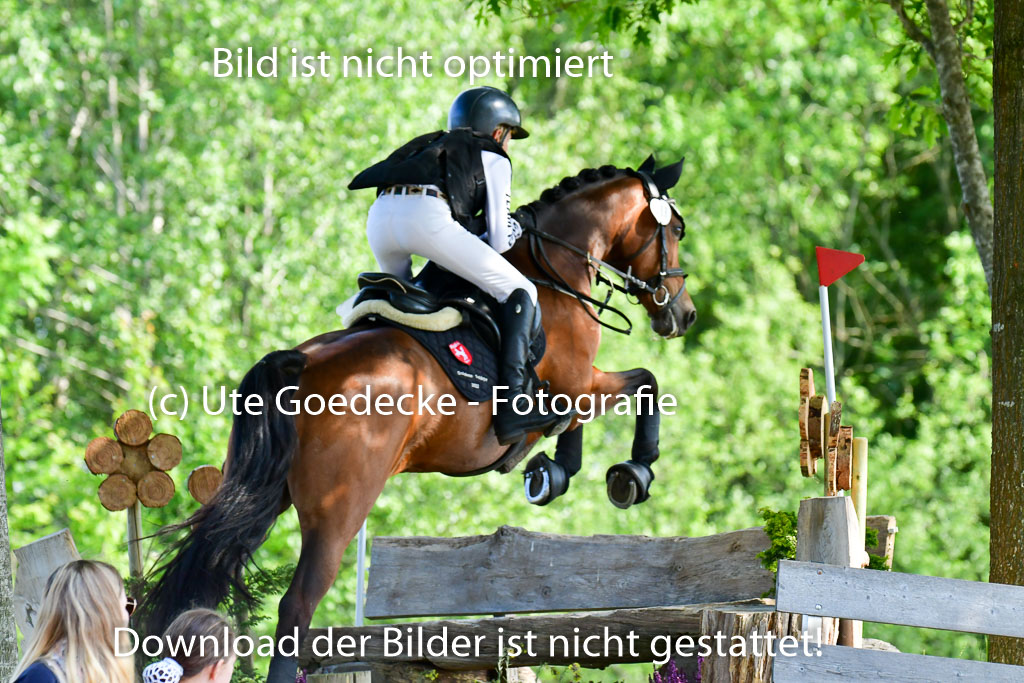 Goldene Schärpe Ponys in Löningen  4+5.6.22 | 04062022 - Gelände  2 Abt _787 