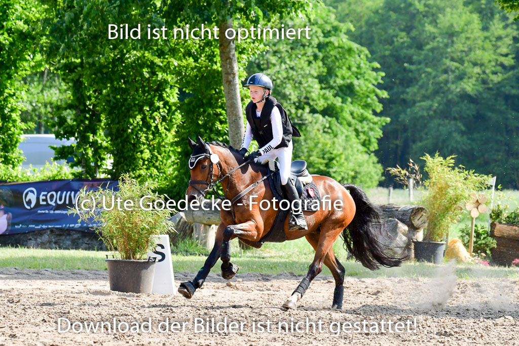 Goldene Schärpe Ponys in Löningen  4+5.6.22 | 04062022 - Gelände  2 Abt _794 