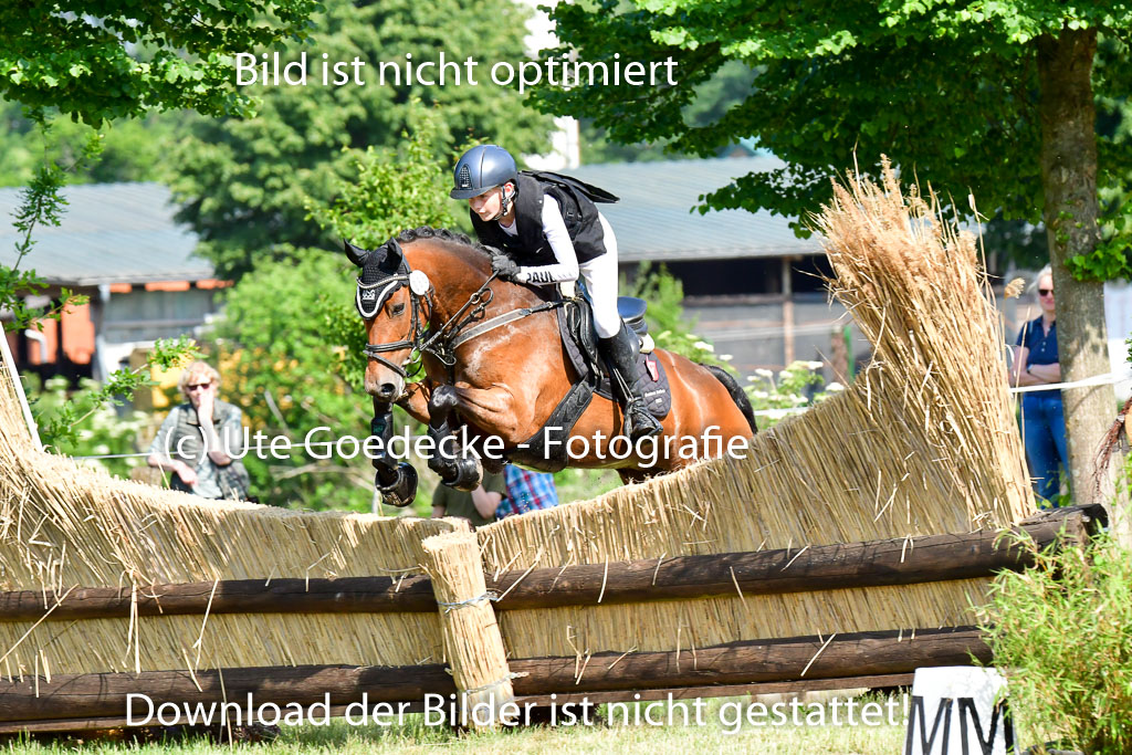 Goldene Schärpe Ponys in Löningen  4+5.6.22 | 04062022 - Gelände  2 Abt _798 