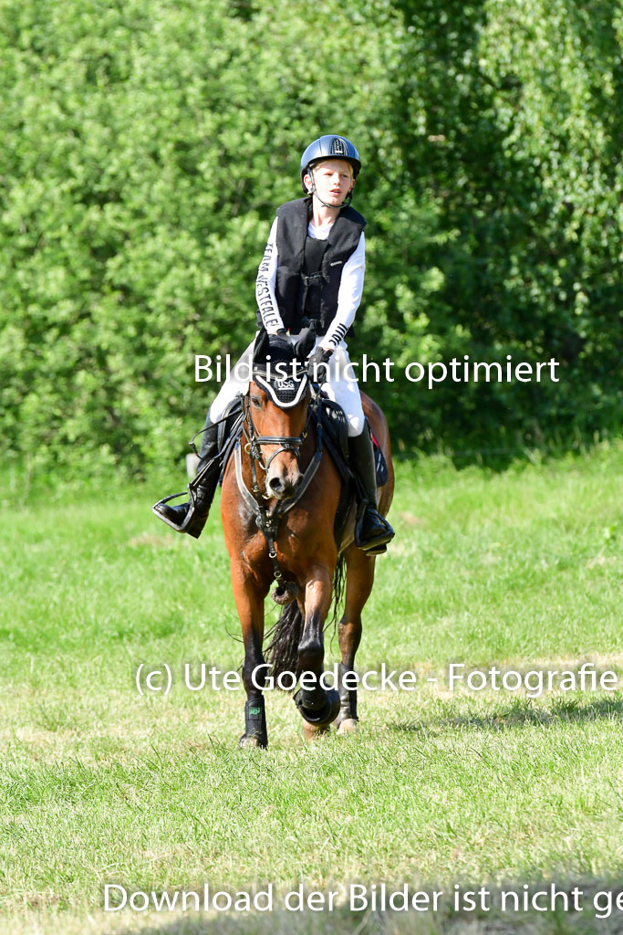 Goldene Schärpe Ponys in Löningen  4+5.6.22 | 04062022 - Gelände  2 Abt _800 