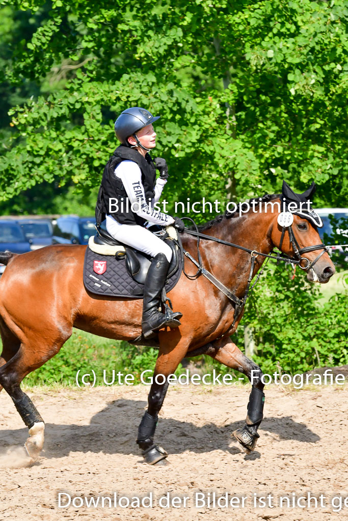Goldene Schärpe Ponys in Löningen  4+5.6.22 | 04062022 - Gelände  2 Abt _801 