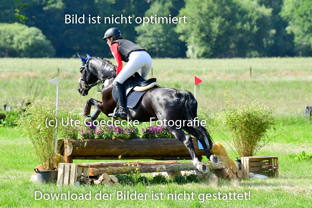 Goldene Schärpe Ponys in Löningen  4+5.6.22 | 04062022 - Gelände  2 Abt _810 