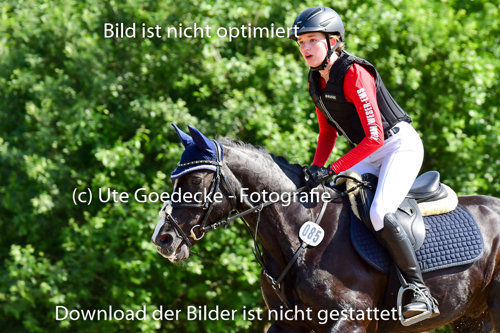 Goldene Schärpe Ponys in Löningen  4+5.6.22 | 04062022 - Gelände  2 Abt _816 