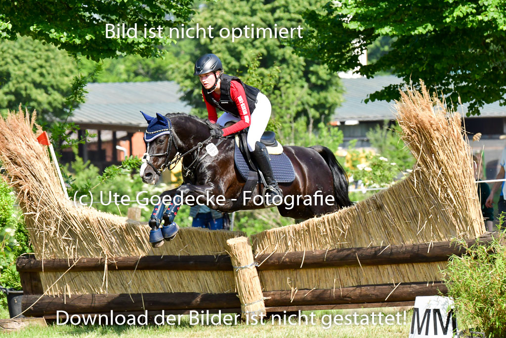 Goldene Schärpe Ponys in Löningen  4+5.6.22 | 04062022 - Gelände  2 Abt _819 