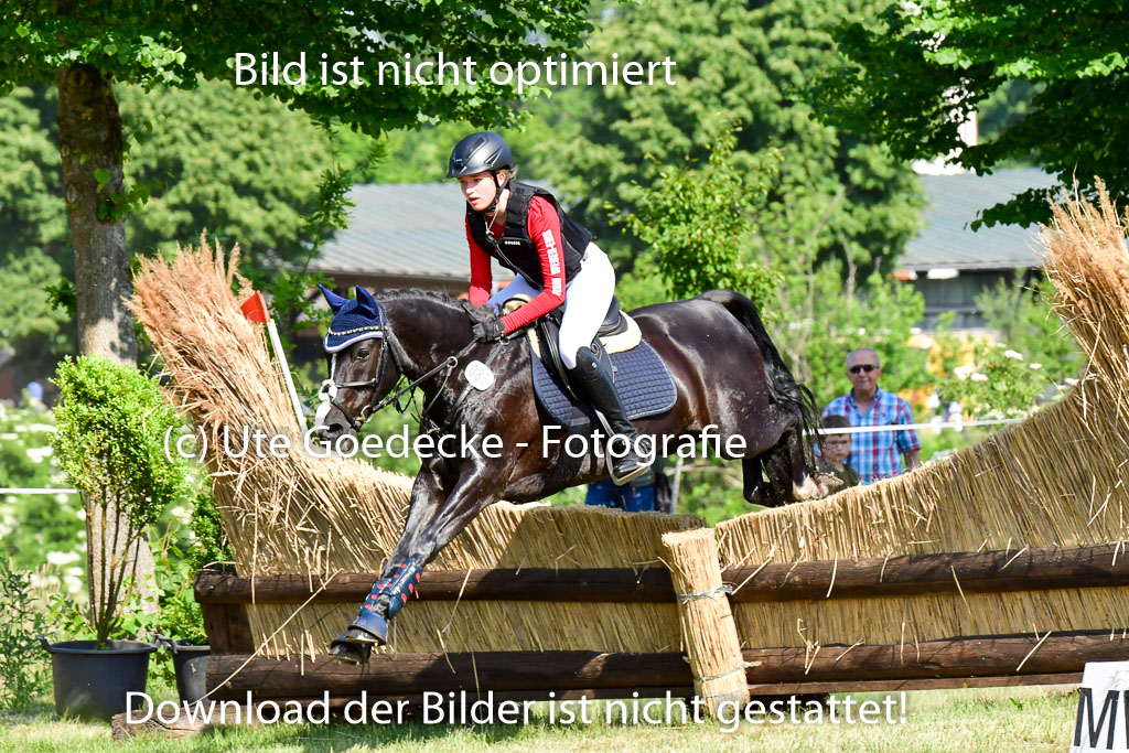Goldene Schärpe Ponys in Löningen  4+5.6.22 | 04062022 - Gelände  2 Abt _820 