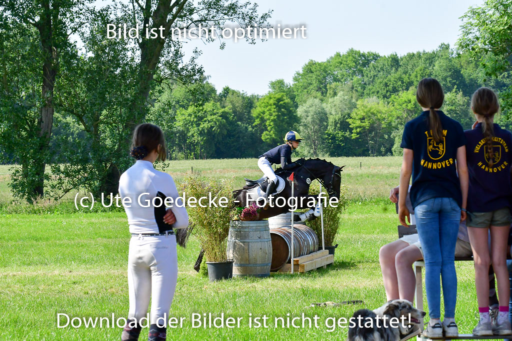 Goldene Schärpe Ponys in Löningen  4+5.6.22 | 04062022 - Gelände  2 Abt _822 