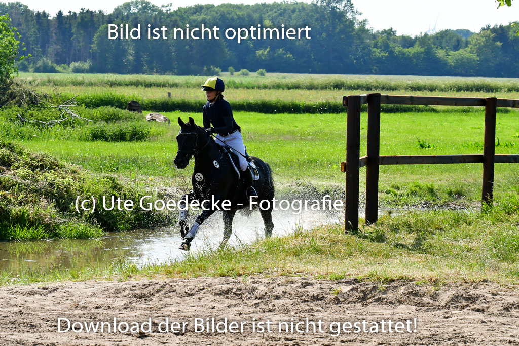 Goldene Schärpe Ponys in Löningen  4+5.6.22 | 04062022 - Gelände  2 Abt _824 