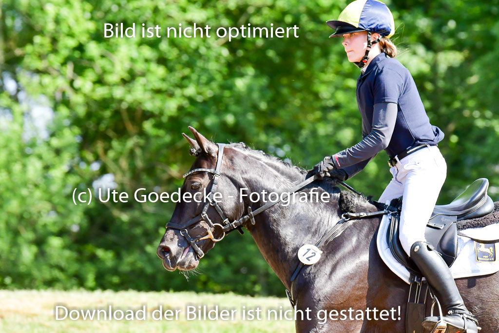 Goldene Schärpe Ponys in Löningen  4+5.6.22 | 04062022 - Gelände  2 Abt _830 