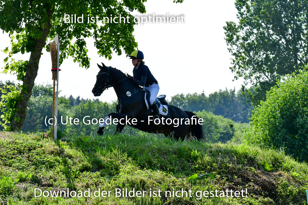 Goldene Schärpe Ponys in Löningen  4+5.6.22 | 04062022 - Gelände  2 Abt _831 