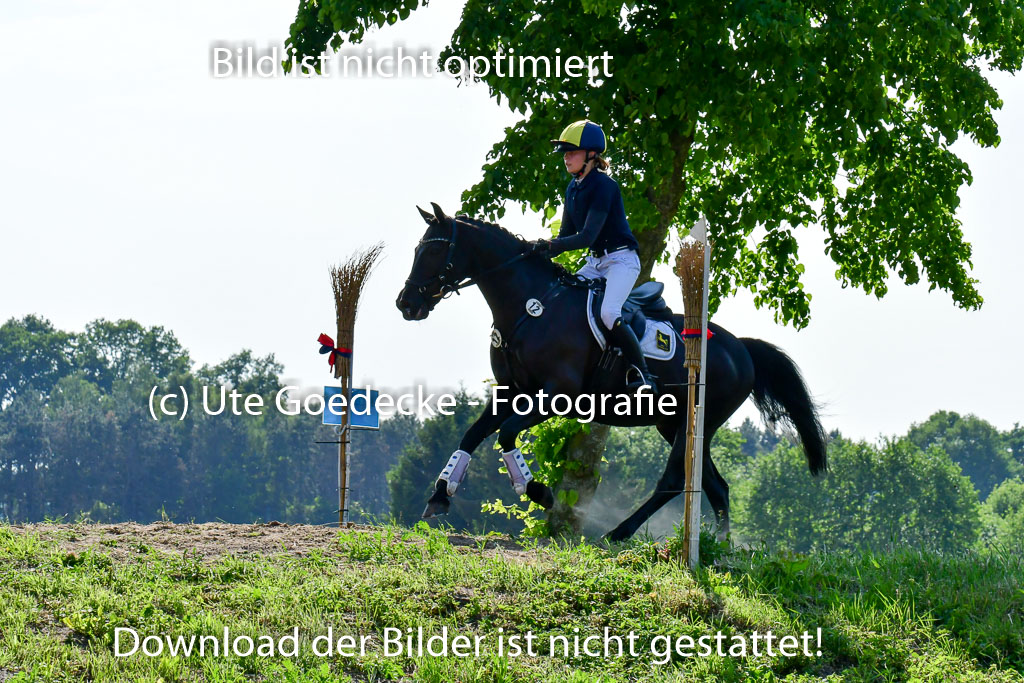 Goldene Schärpe Ponys in Löningen  4+5.6.22 | 04062022 - Gelände  2 Abt _832 