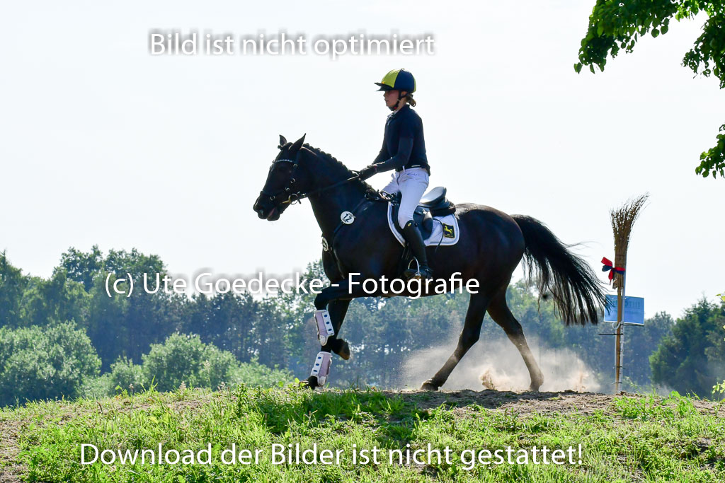 Goldene Schärpe Ponys in Löningen  4+5.6.22 | 04062022 - Gelände  2 Abt _833 