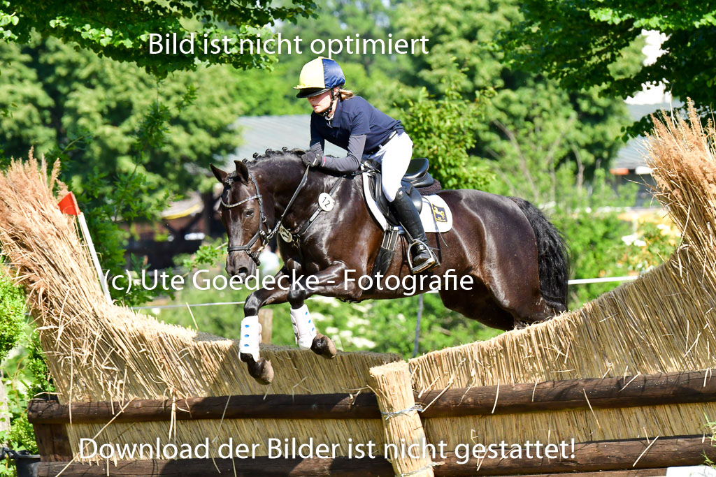 Goldene Schärpe Ponys in Löningen  4+5.6.22 | 04062022 - Gelände  2 Abt _834 