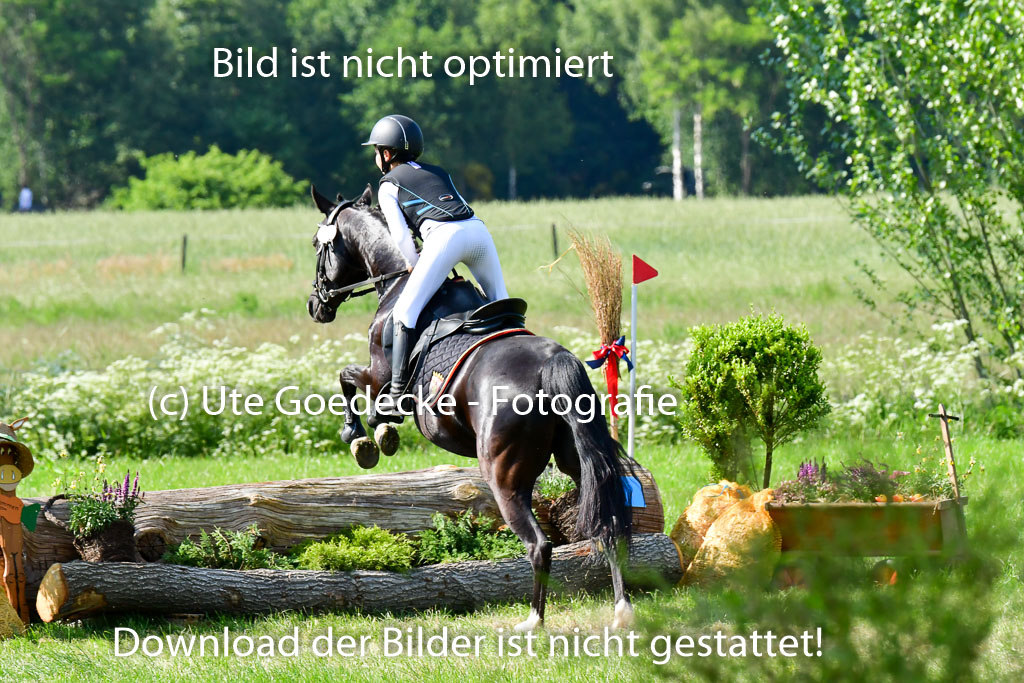 Goldene Schärpe Ponys in Löningen  4+5.6.22 | 04062022 - Gelände  2 Abt _836 
