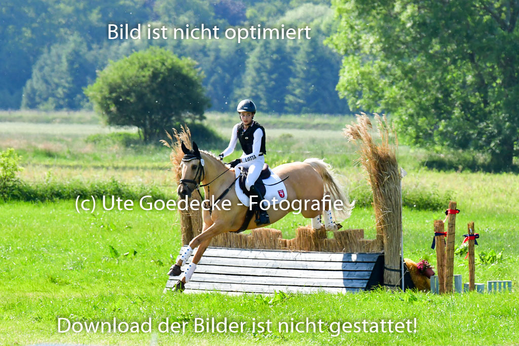 Goldene Schärpe Ponys in Löningen  4+5.6.22 | 04062022 - Gelände  2 Abt _838 