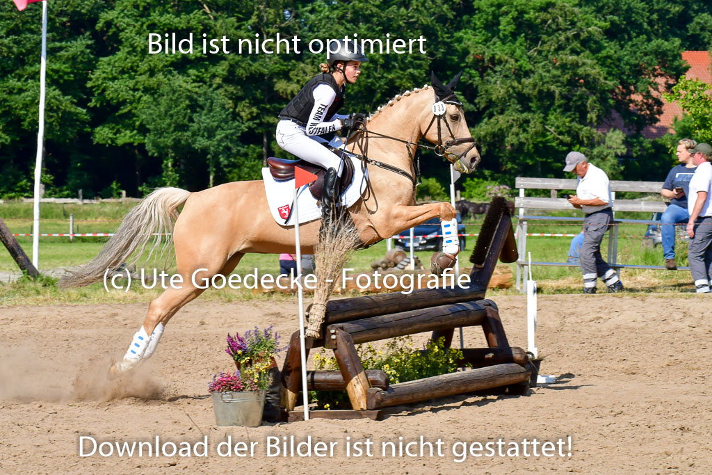 Goldene Schärpe Ponys in Löningen  4+5.6.22 | 04062022 - Gelände  2 Abt _841 