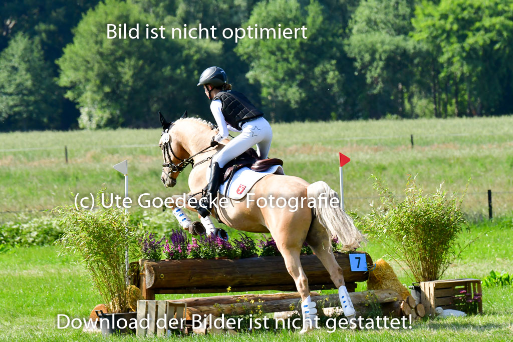 Goldene Schärpe Ponys in Löningen  4+5.6.22 | 04062022 - Gelände  2 Abt _842 