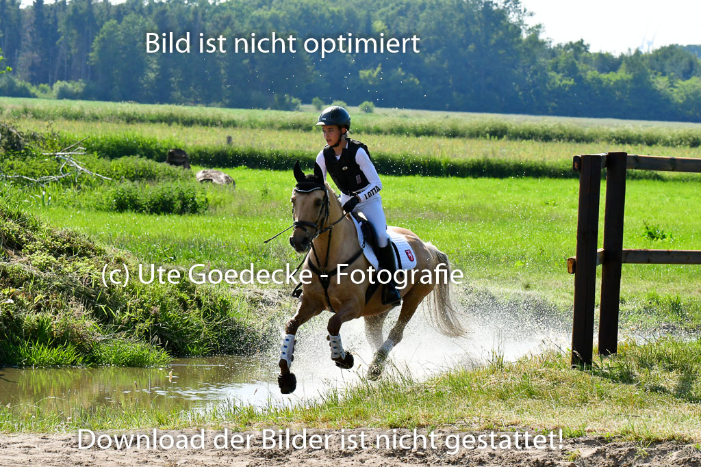 Goldene Schärpe Ponys in Löningen  4+5.6.22 | 04062022 - Gelände  2 Abt _843 