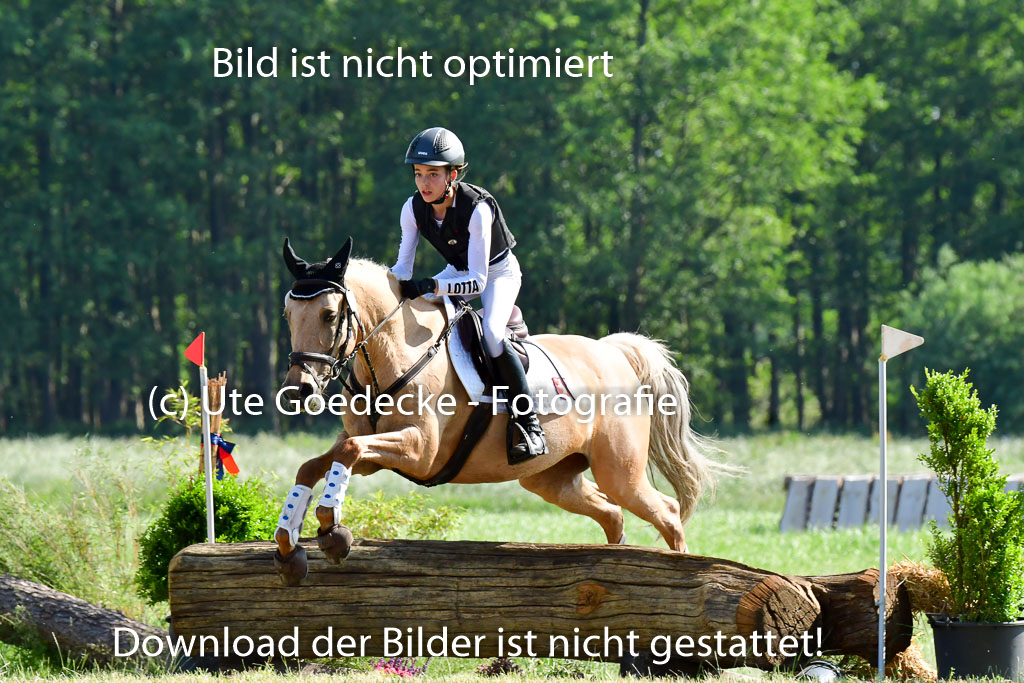 Goldene Schärpe Ponys in Löningen  4+5.6.22 | 04062022 - Gelände  2 Abt _846 