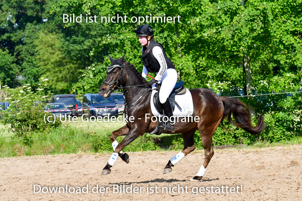 Goldene Schärpe Ponys in Löningen  4+5.6.22 | 04062022 - Gelände  2 Abt _854 