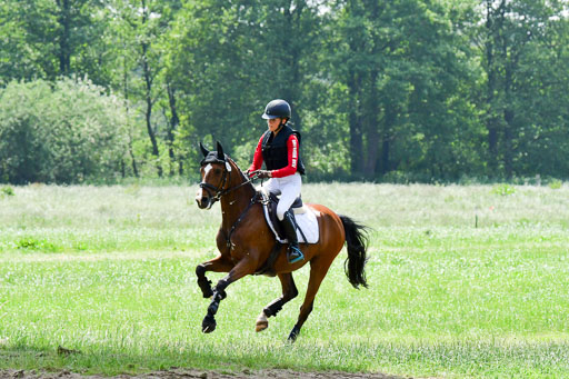 Goldene Schärpe Ponys in Löningen  4+5.6.22 | 04062022 - Gelände  2 Abt _003 