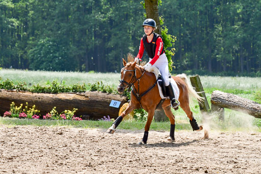 Goldene Schärpe Ponys in Löningen  4+5.6.22 | 04062022 - Gelände  2 Abt _022 