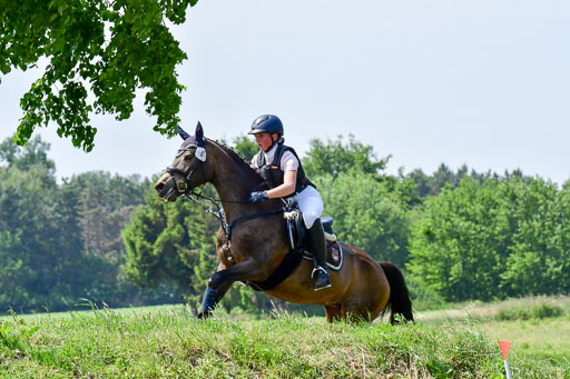 Goldene Schärpe Ponys in Löningen  4+5.6.22 | 04062022 - Gelände  2 Abt _041 