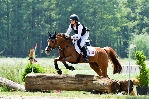 Goldene Schärpe Ponys in Löningen  4+5.6.22 | 04062022 - Gelände  2 Abt _055 