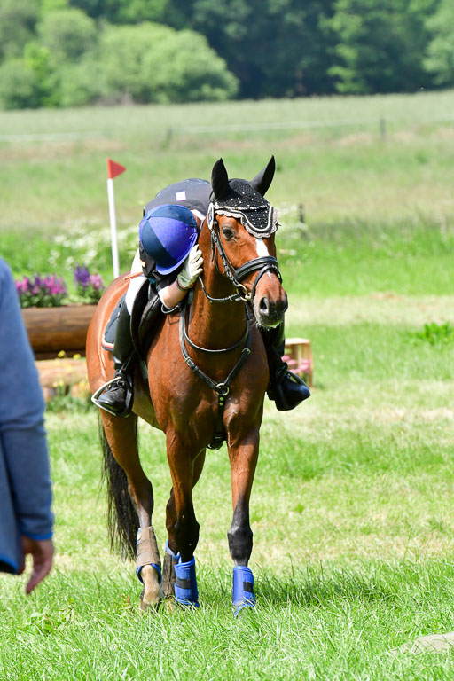 Goldene Schärpe Ponys in Löningen  4+5.6.22 | 04062022 - Gelände  2 Abt _175 