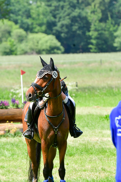 Goldene Schärpe Ponys in Löningen  4+5.6.22 | 04062022 - Gelände  2 Abt _176 