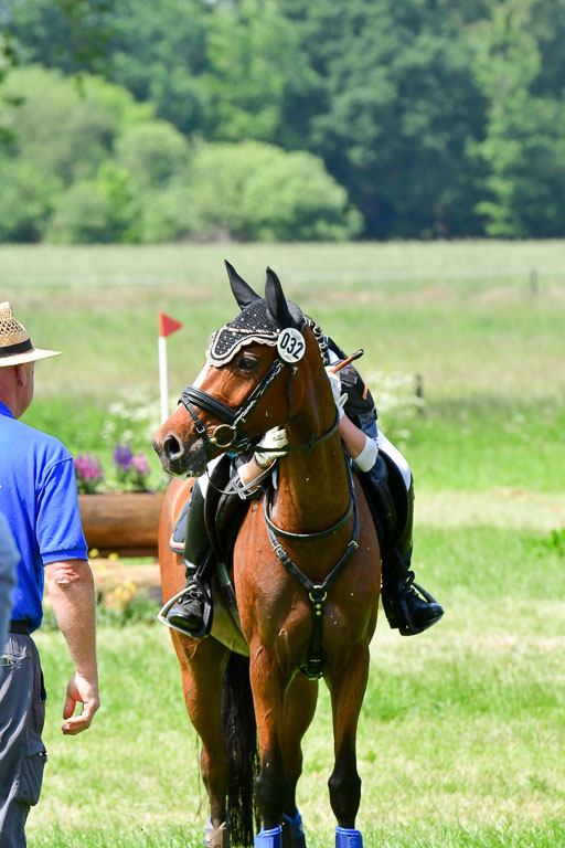 Goldene Schärpe Ponys in Löningen  4+5.6.22 | 04062022 - Gelände  2 Abt _177 