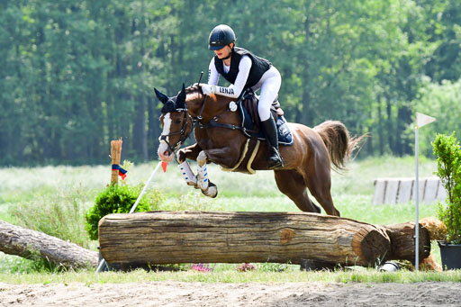 Goldene Schärpe Ponys in Löningen  4+5.6.22 | 04062022 - Gelände  2 Abt _208 