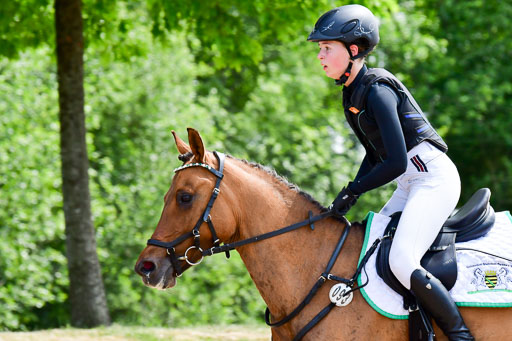 Goldene Schärpe Ponys in Löningen  4+5.6.22 | 04062022 - Gelände  2 Abt _234 