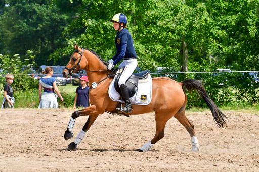 Goldene Schärpe Ponys in Löningen  4+5.6.22 | 04062022 - Gelände  2 Abt _318 