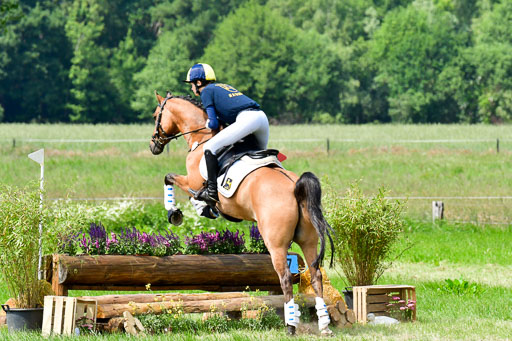 Goldene Schärpe Ponys in Löningen  4+5.6.22 | 04062022 - Gelände  2 Abt _323 