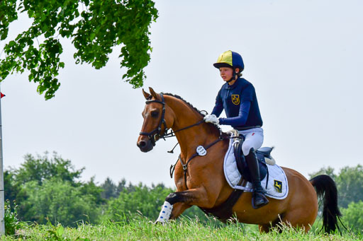 Goldene Schärpe Ponys in Löningen  4+5.6.22 | 04062022 - Gelände  2 Abt _330 