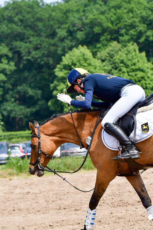 Goldene Schärpe Ponys in Löningen  4+5.6.22 | 04062022 - Gelände  2 Abt _337 