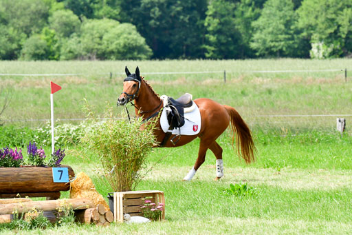 Goldene Schärpe Ponys in Löningen  4+5.6.22 | 04062022 - Gelände  2 Abt _339 