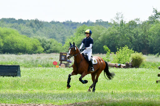 Goldene Schärpe Ponys in Löningen  4+5.6.22 | 04062022 - Gelände  2 Abt _346 
