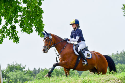 Goldene Schärpe Ponys in Löningen  4+5.6.22 | 04062022 - Gelände  2 Abt _350 