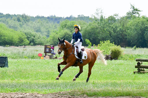 Goldene Schärpe Ponys in Löningen  4+5.6.22 | 04062022 - Gelände  2 Abt _361 