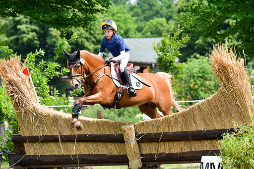 Goldene Schärpe Ponys in Löningen  4+5.6.22 | 04062022 - Gelände  2 Abt _370 