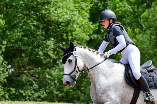 Goldene Schärpe Ponys in Löningen  4+5.6.22 | 04062022 - Gelände  2 Abt _381 
