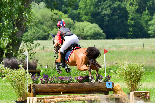 Goldene Schärpe Ponys in Löningen  4+5.6.22 | 04062022 - Gelände  2 Abt _393 
