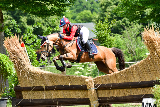 Goldene Schärpe Ponys in Löningen  4+5.6.22 | 04062022 - Gelände  2 Abt _404 