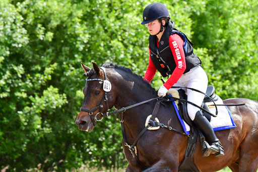 Goldene Schärpe Ponys in Löningen  4+5.6.22 | 04062022 - Gelände  2 Abt _417 