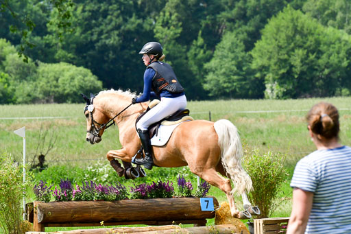 Goldene Schärpe Ponys in Löningen  4+5.6.22 | 04062022 - Gelände  2 Abt _437 