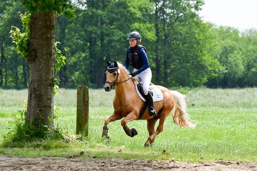 Goldene Schärpe Ponys in Löningen  4+5.6.22 | 04062022 - Gelände  2 Abt _440 