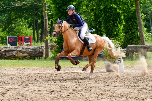 Goldene Schärpe Ponys in Löningen  4+5.6.22 | 04062022 - Gelände  2 Abt _443 